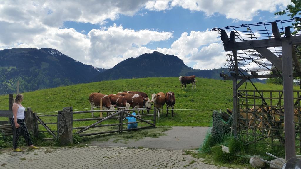 Appartements Berger Kitzbuehel Esterno foto